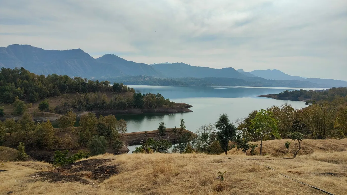 the Narmada in Gujarat, wide and green between low hills